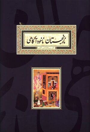 نارنجستان ناخودآگاهی (جنگی از جستارها و نوشته‌های دیگر)