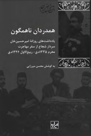 همدردان ناهمگون