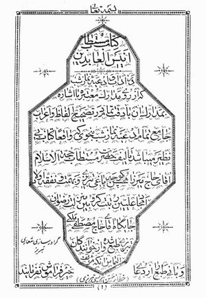 أنيس العابدين