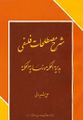 تصویر بندانگشتی از نسخهٔ مورخ ‏۲۷ دسامبر ۲۰۱۷، ساعت ۱۲:۴۰